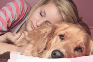 Fordele og ulemper ved at sove med sin hund