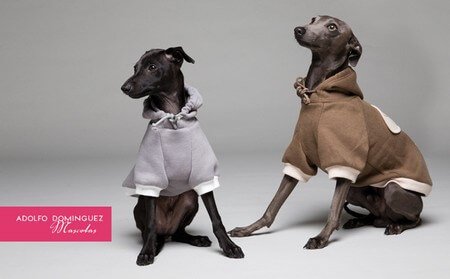 Tøj kollektion til hunde af Adolfo Dominguez