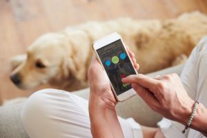 De 5 bedste apps til dig og din hund