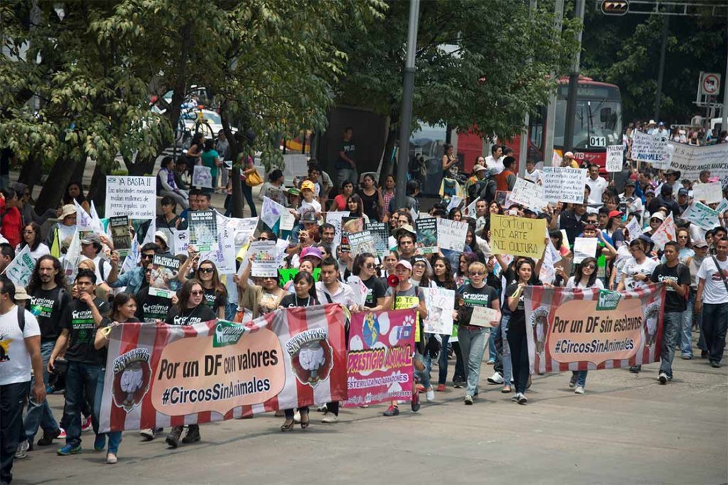 march med slogans