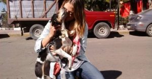 Hundeejers værste mareridt: Flyselskabet mistede hendes hund
