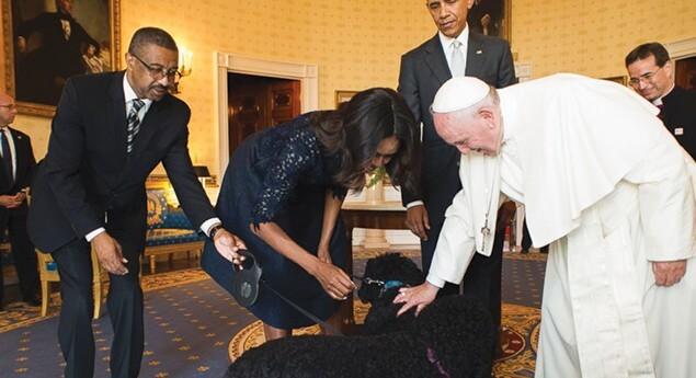 paven klapper venligt en hund