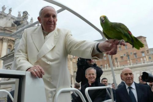Hvad tænker pave Frans om dyr?