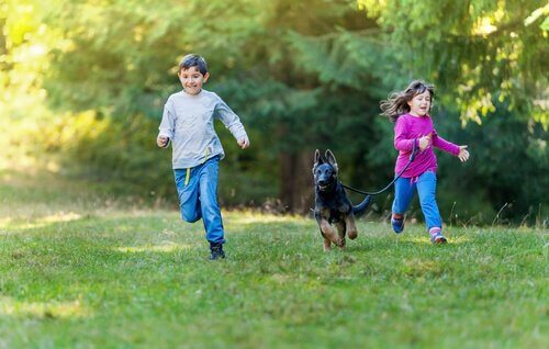 Børn løber med en schæferhund