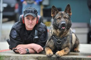 Programmet Firbenede helte arbejder for at finde nye hjem til pensionerede politihunde og andre servicehunde