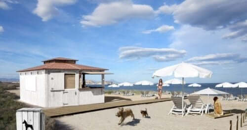 Den første strandbar til hunde er lavet