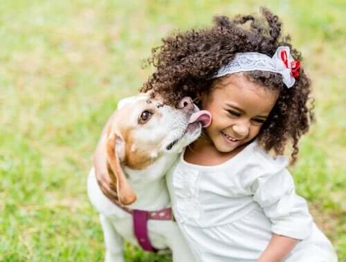 Hvordan børn bør interagere med hunde