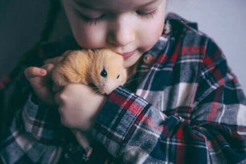 Børn kan være med til at tæmme et hamster