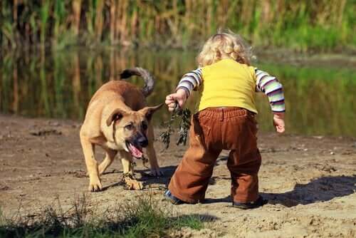 lille barn, der leger med hund