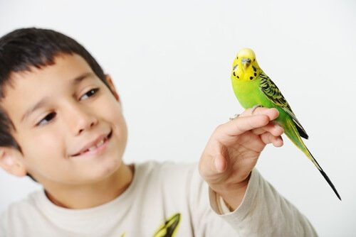Dreng med fugl på hånden