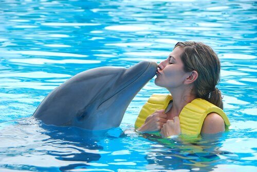kvinde kysser en delfin