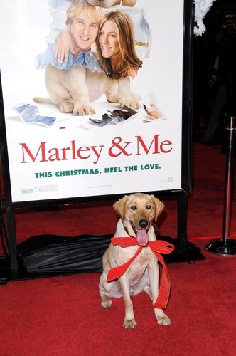 plakat fra filmen MArley and Me