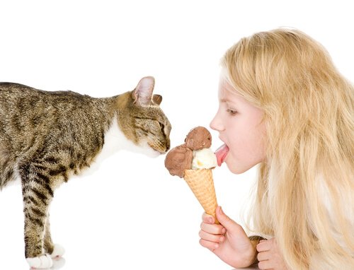 kat og pige, der spiser is
