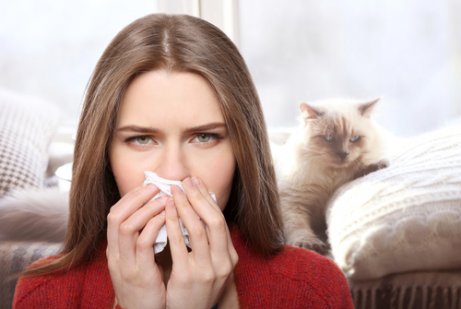 kvinde, der har allergi over for katte