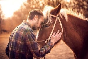 Sådan ved du, om din hest elsker dig