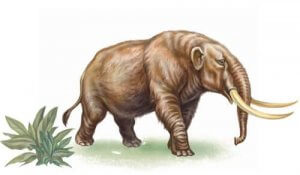 Historien om den udryddede mastodont