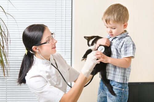 dreng med sin kat hos dyrlægen