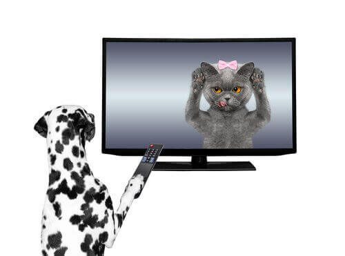Dyr i reklamer på TV