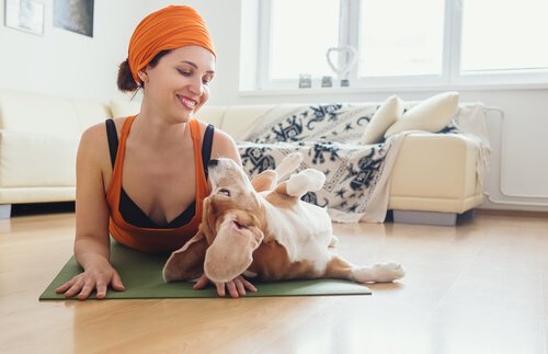 Fordelene ved yoga for hunde