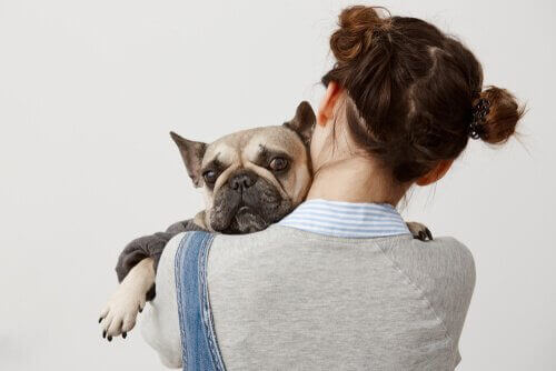 Hund hviler sig på kvindes skulder