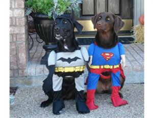 Kostume til en hund som superhelt