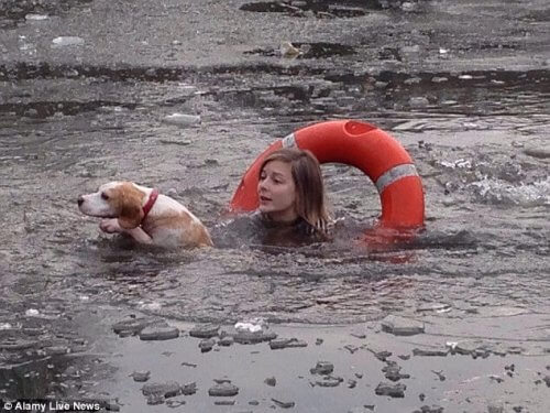 Kvinde hopper i frossen sø for at redde en hund