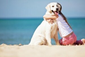 Kvinde på strand i færd med at kramme en hund