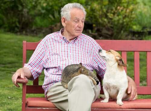 Mand med hund og kat på bænk i have