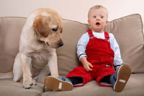 Barn med Downs syndrom i sofa med hund