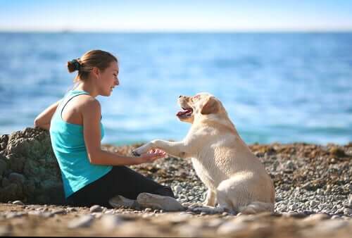 kvinde med hund på stranden