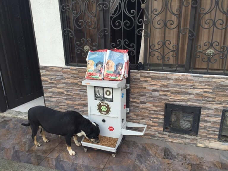 Gadehund spiser af ny fodermaskine
