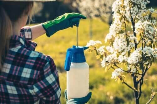 Kvinde bruger pesticider i haven