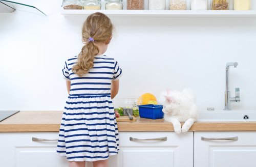 En kat, der sidder på et køkkenbord, mens en pige laver mad