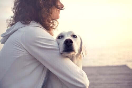 Kvinde, der krammer hund, symboliserer smukke citater om hunde