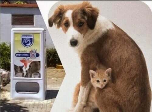 Din hund kan nu få mad fra en salgsautomat med hundefoder!