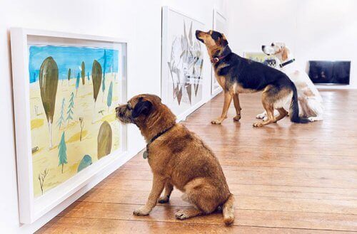Verdens første kunstudstilling for hunde