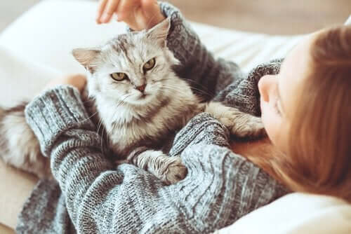 Pige kæler med kat for at gøre en kat mere social