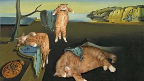 Maleri med katte