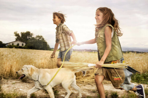 Børn løber på mark med hund