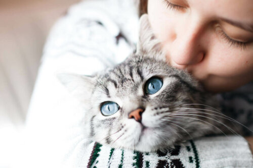 En kats sociale interaktion illustreres af kvinde, der kysser kat