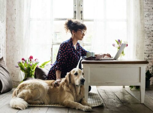 Kvinde ved computer og hund ved sin side
