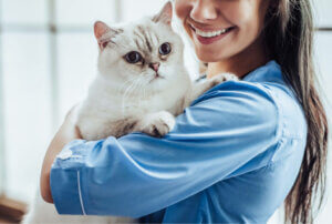 Akromegali hos katte: Symptomer og behandling