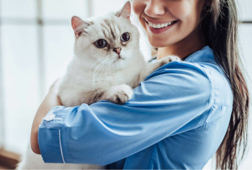 Smilende dyrlæge med kat i armene