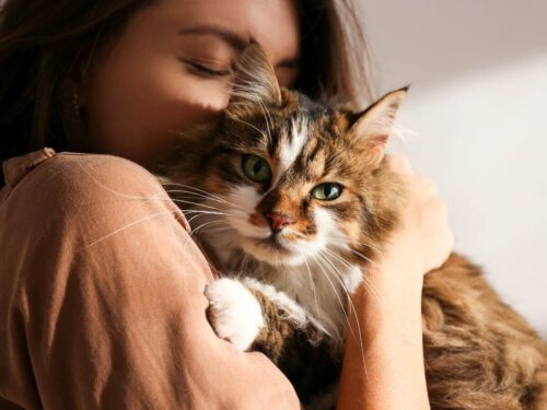 Kvinde krammer en kat