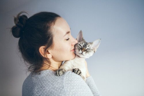 Er det godt for dit helbred at bo sammen med katte?