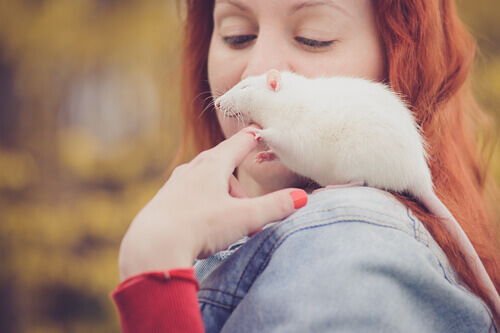 Kvinde med en rotte som kæledyr