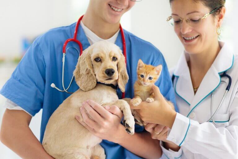 8 tegn på, at dit kæledyr har brug for at komme til dyrlægen