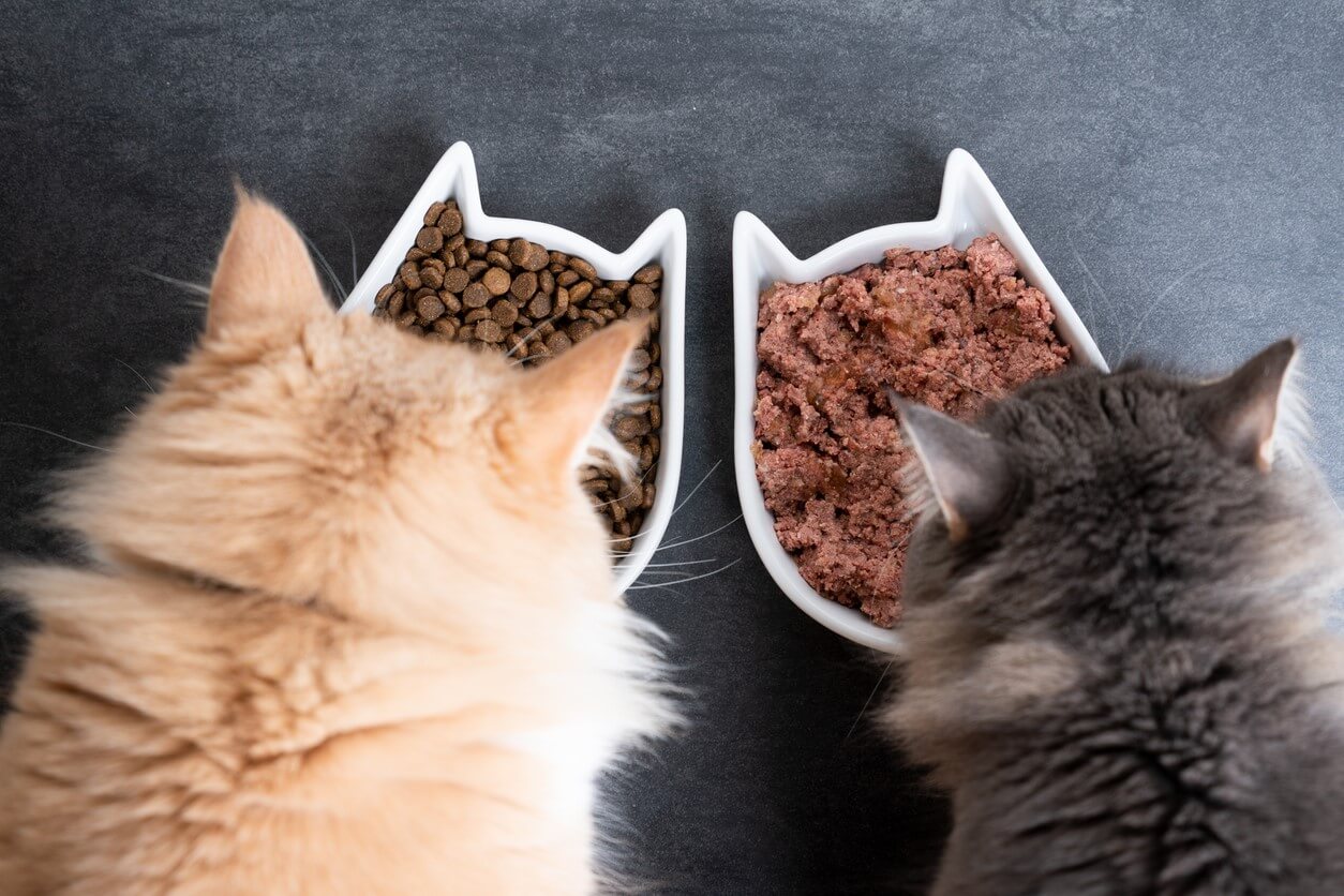 To katte spiser