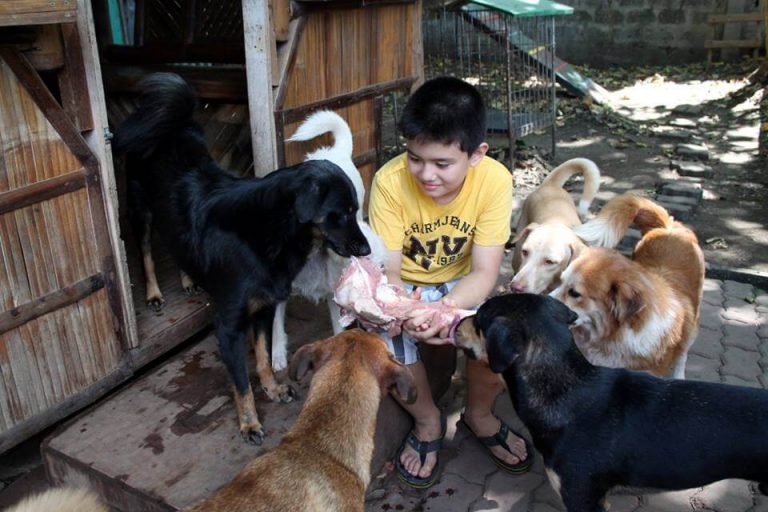 9-vuotiaan pojan perustama eläinten turvakoti