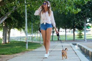 5 syytä, miksi koirasi ansaitsee laadukkaita kävelylenkkejä